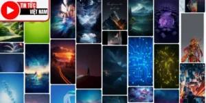 Hình Nền Điện Thoại 4K Đẹp Lung Linh Với Lựa Chọn Cực Đỉnh