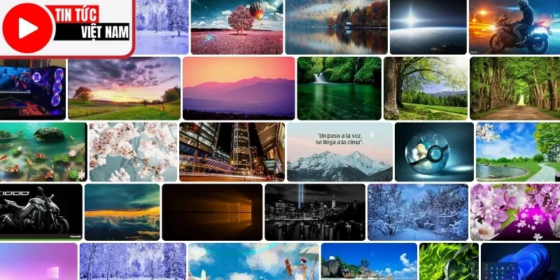 Cách tải hình nền máy tính 4K 1920x1080 chất lượng